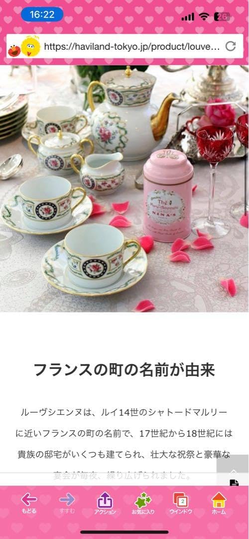 M_TKHS Haviland リモージュ ルーブシエンヌ　6枚セット中皿 Haviland リモージュ ルーブシエンヌ 6枚セット中皿 HAVILAND